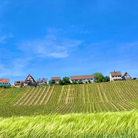 Komforthaus Gartenfreude Sachsenheim Buitenkant foto