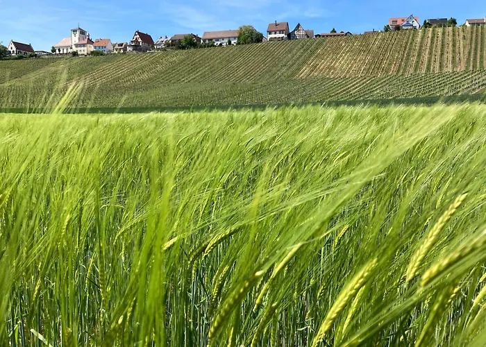 Komforthaus Gartenfreude